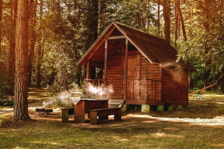 small-wooden-house-pine-forest-recreation-camping-forest-barbecue-nature