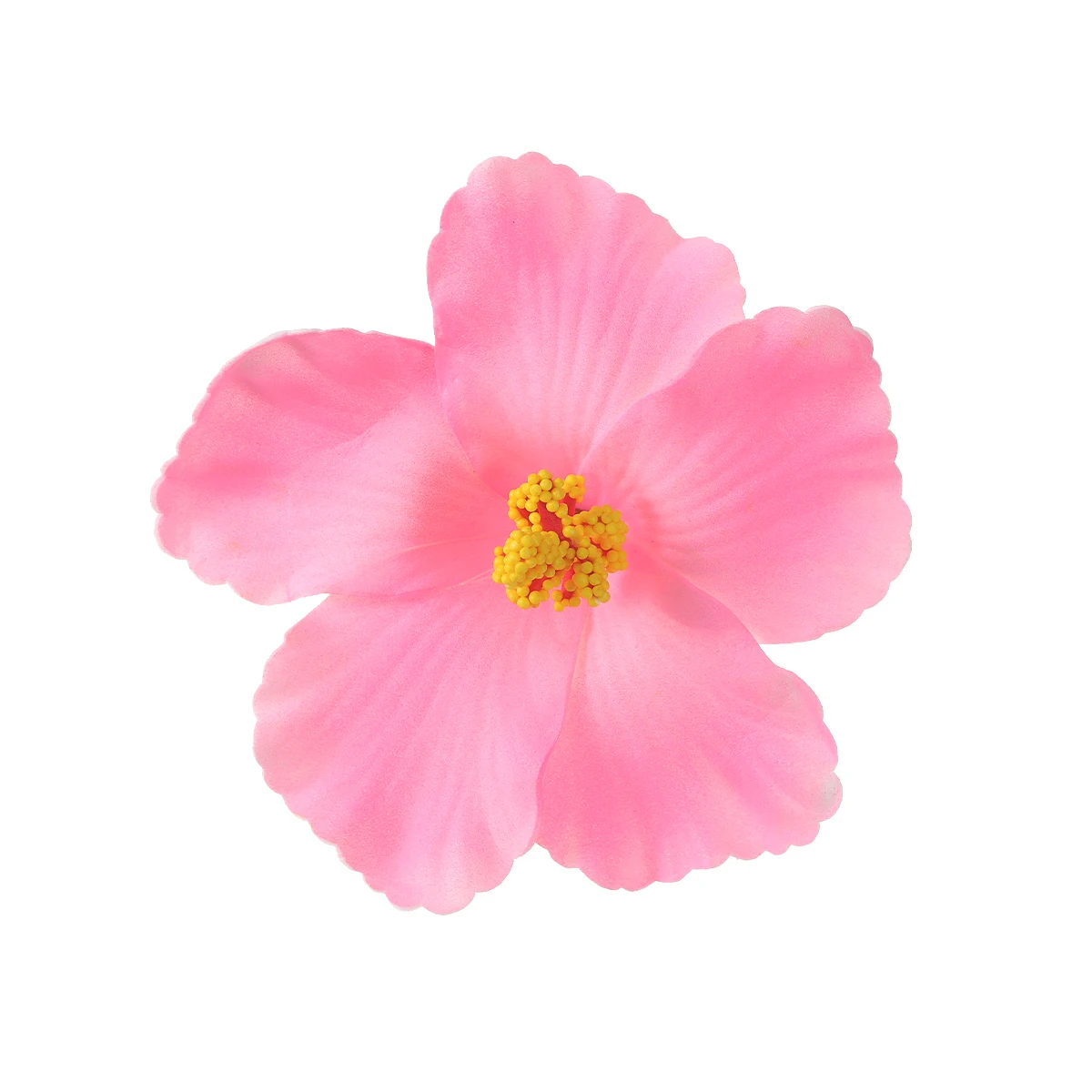 160893-ll8b3n.webp