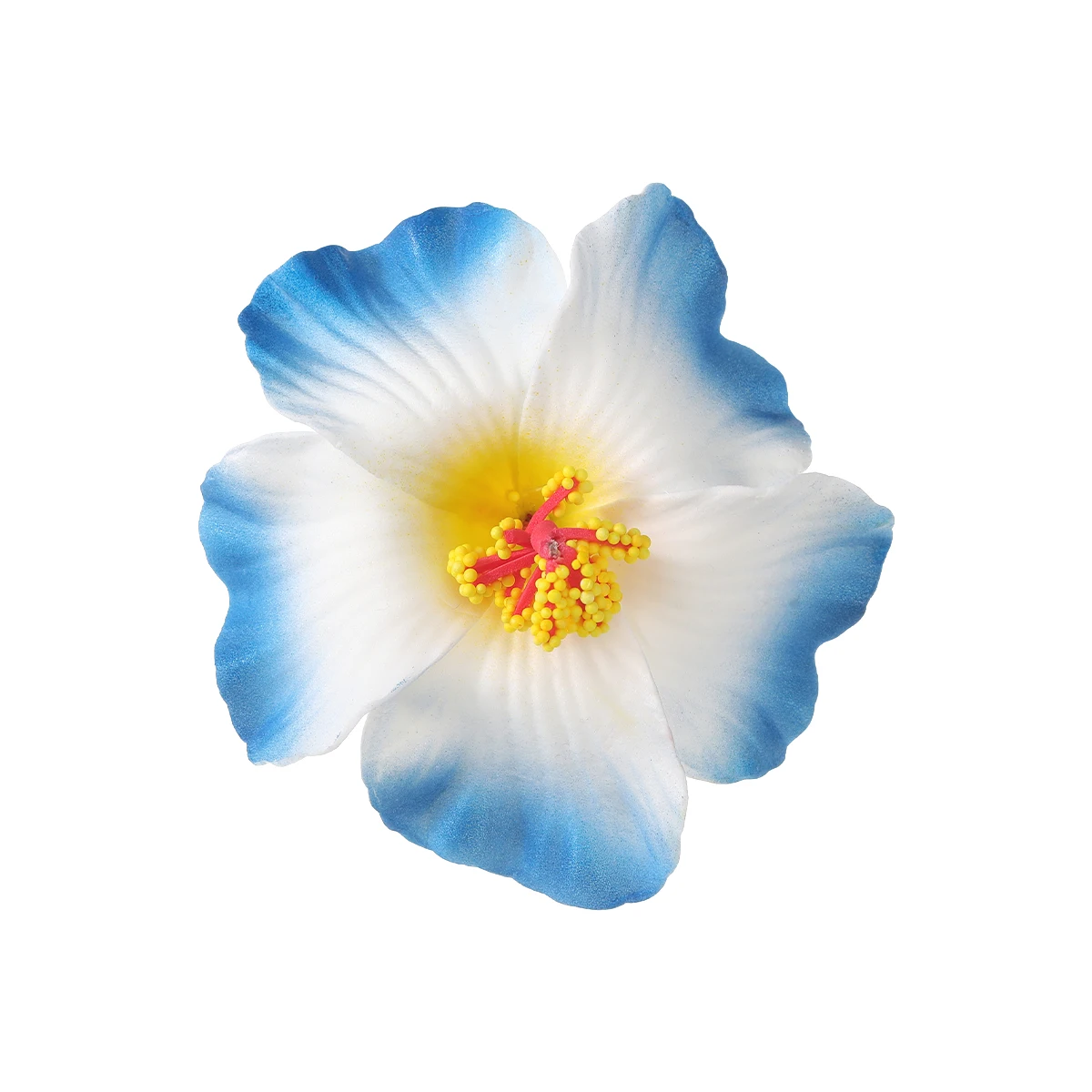 160893-wlujid.webp